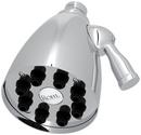 Multi Function Showerhead in Polished Chrome