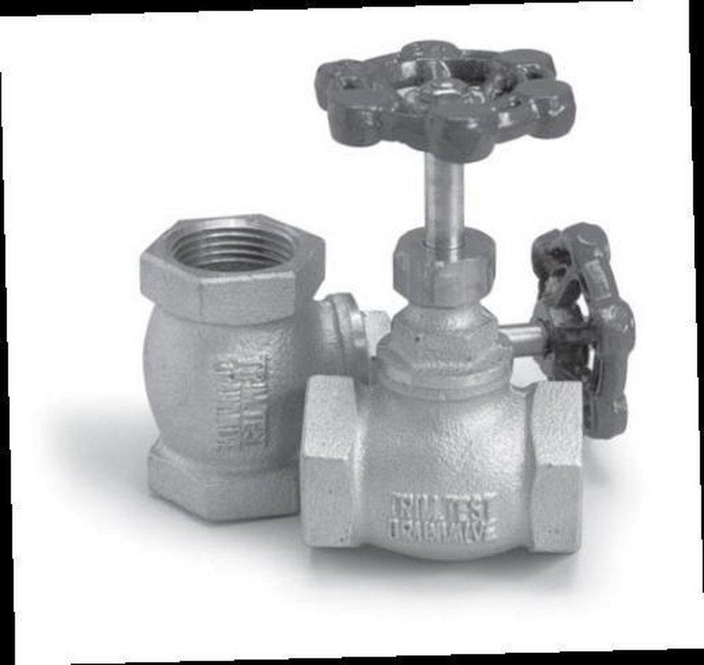 FPPI® Bronze IPS Globe Valve 