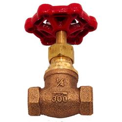 1 in. Bronze IPS Globe Valve