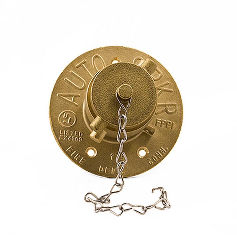 FPPI&reg; Rough Brass NPT x NST Wall Plate 