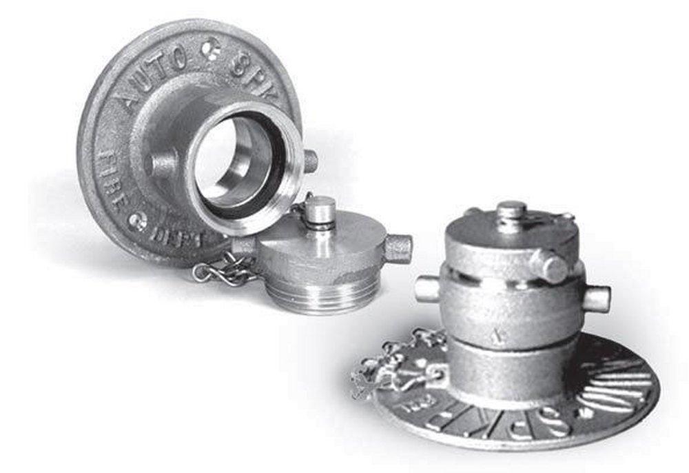 FPPI® Rough Brass NPT x NST Wall Plate 