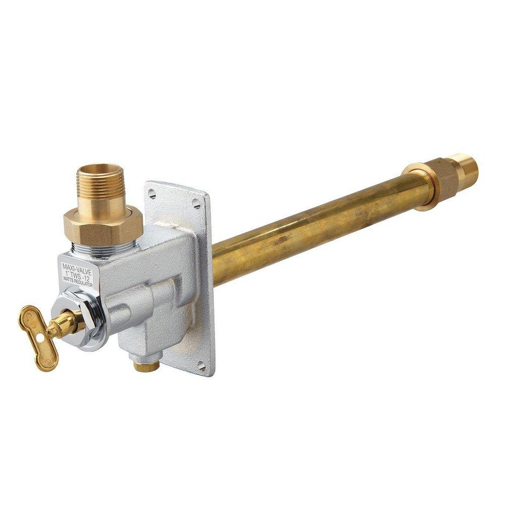 Watts Chrome Plated Chrome Plated Union Male Threaded x Union 3/4 in. Wall Hydrant 