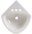 11 x 16-3/4 in. Oval Wall Mount Bathroom Sink in White