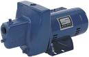 Sta-Rite Industries Blue Cast Iron Shallow Well Jet Pump 