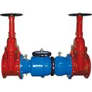 2-1/2 in. Epoxy Coated Ductile Iron Flanged 175 psi Backflow Preventer