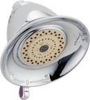 Multi Function Showerhead in Chrome