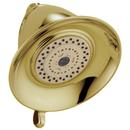 Multi Function Showerhead in Brilliance® Polished Brass