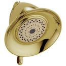 Delta Faucet Brilliance&reg; Polished Brass Multi Function Full Body, Massage and Soft Drench Showerhead 