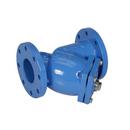 Watts 125# Cast Iron Epoxy Coating Flanged Strainer 