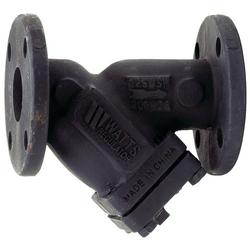 2 x 2 in. 125# Cast Iron Flanged Wye Strainer