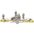 Watts Stainless Steel FNPT Backflow Preventer 