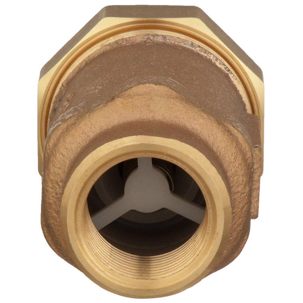 Zurn Wilkins Union FNPT x FNPT Dual Check Valve 