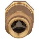 Zurn Wilkins Union FNPT x FNPT Dual Check Valve 