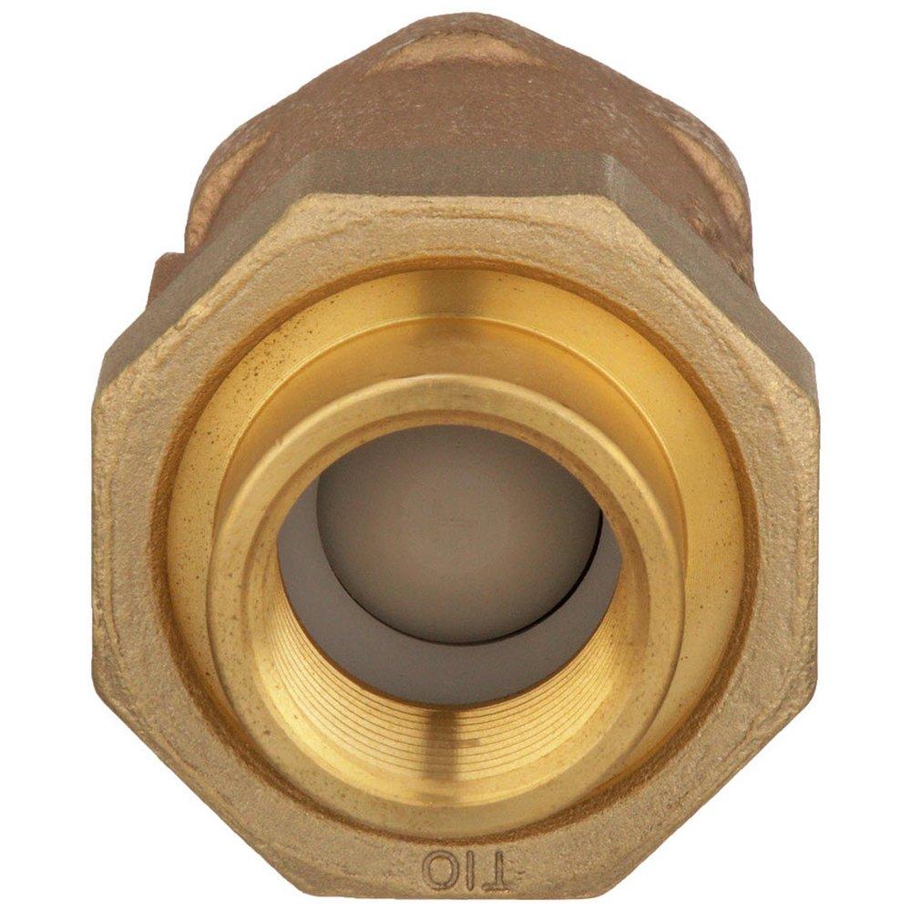 Zurn Wilkins Union FNPT x FNPT Dual Check Valve 