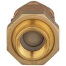 Zurn Wilkins Union FNPT x FNPT Dual Check Valve 