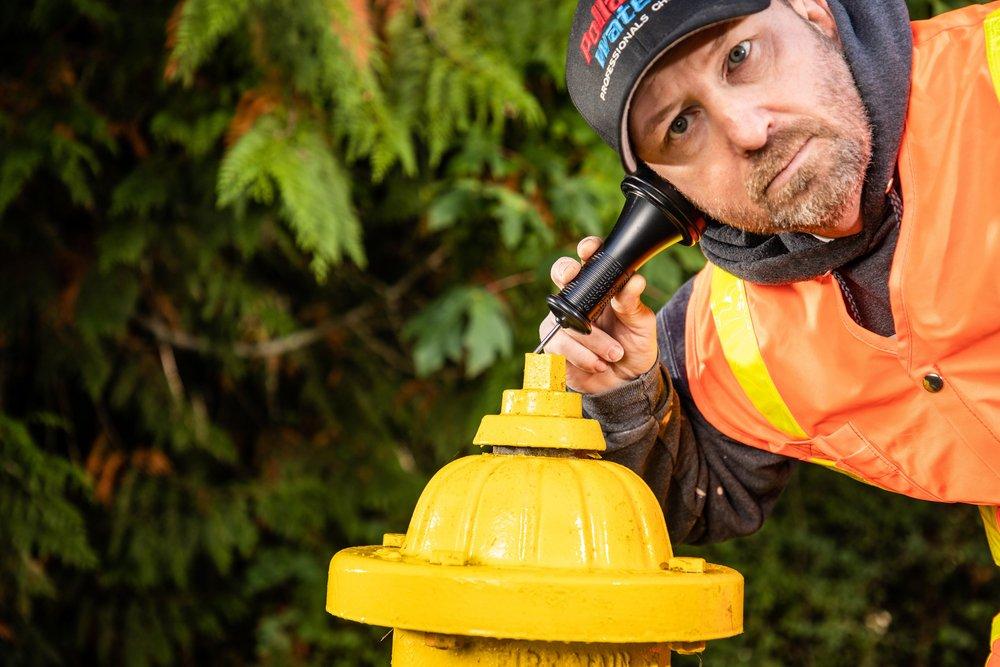 Pollardwater Black Leak Detector 