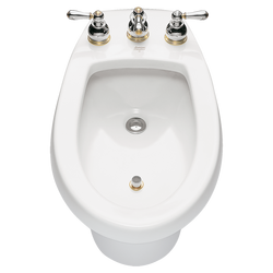 Vertical Spray Bidet with Integral Overflow in White