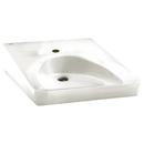 14 x 14-3/4 x 4-3/4 in. Wall Mount Healthcare Sink in White