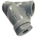 Mueller Steam Specialty 600# Wye Strainer 