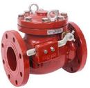 Check Valve with Outside Lever & Weight 4 in.