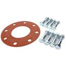 2 x 0.125 in. Flat Face 316 Stainless Steel and Red Rubber Flange Accessory Pack