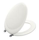 Elongated Toilet Seat with Hinge in White