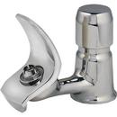 Elkay Polished Chrome Push Button Handle Bubbler 