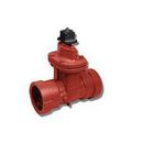 2-1/2 in. Threaded Cast Iron and Rubber Open Left Resilient Wedge Gate Valve