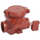 4 in. Cast Iron Grooved Check Valve