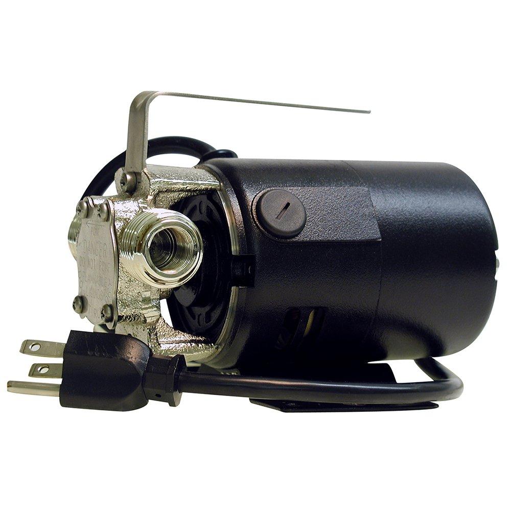 Zoeller Pump Co 3/4 in. 115V 9 ft. Transfer Pump 