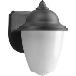 6 in. 60 W 1-Light Medium Wall Lantern in Black