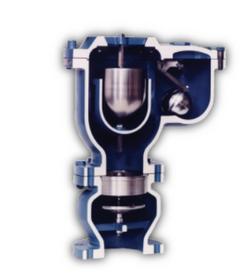 2 x 1 in. NPT Cast Iron 150 psi CWP Air Release Valve