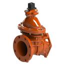 10 in. Mechanical Joint x Flanged Ductile Iron Open Left Resilient Wedge Gate Valve