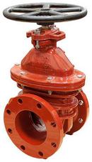 4 in. Flanged Ductile Iron Open Left Resilient Wedge Gate Valve