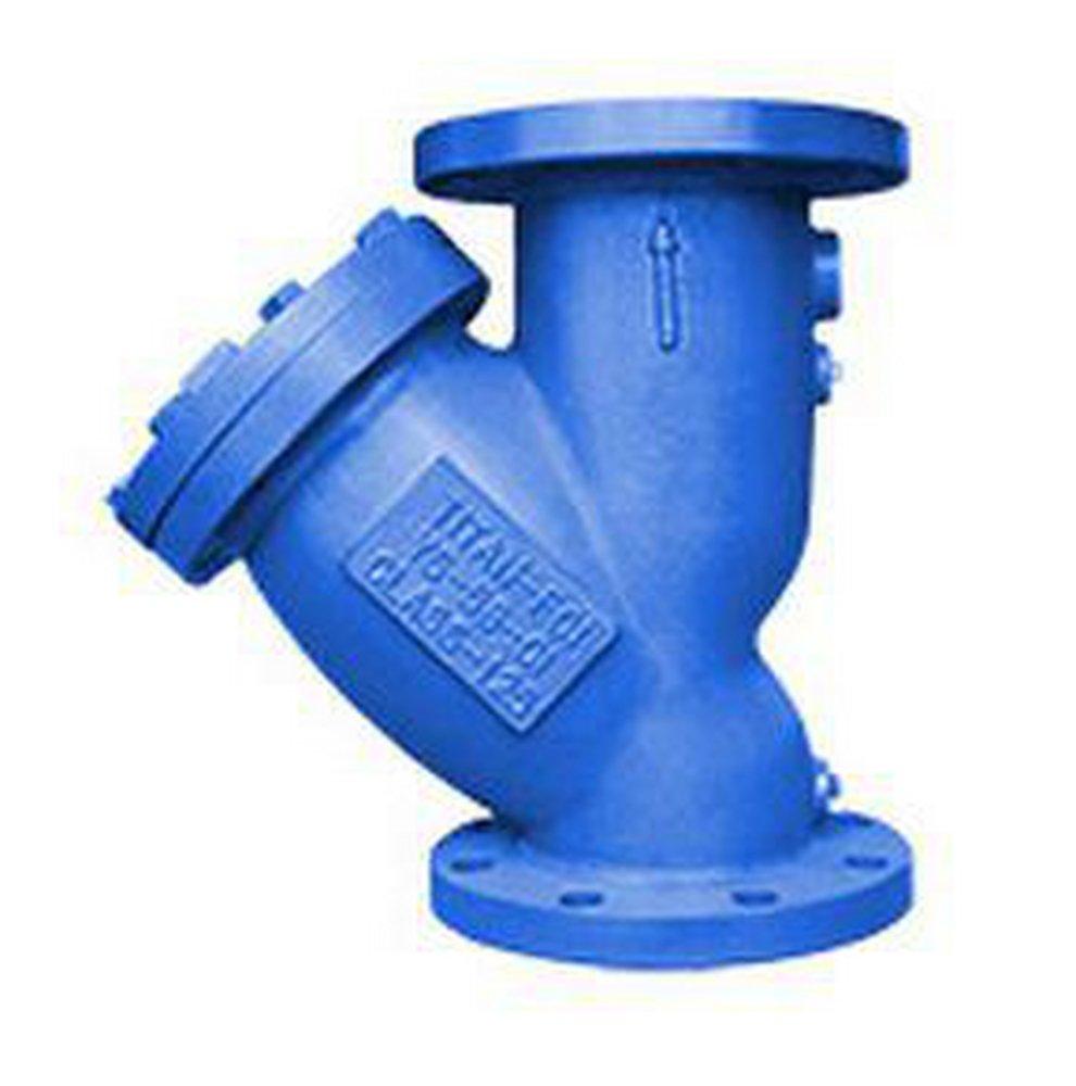 Titan Flow Control 125# Cast Iron Flanged Perforated Wye Strainer 