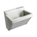 Elkay Buffed Satin 30 x 23 x 22 in. Wall Mount Healthcare Sink 