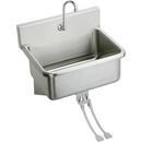 Elkay Buffed Satin 25 x 19-1/2 x 24-3/8 in. Wall Mount Healthcare Sink 