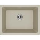 Elkay Lustrous Highlighted Satin 1-Basin Topmount Traditional Classroom Sink 