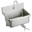 Elkay Buffed Satin 25 x 19-1/2 x 24-3/8 in. Wall Mount Healthcare Sink 