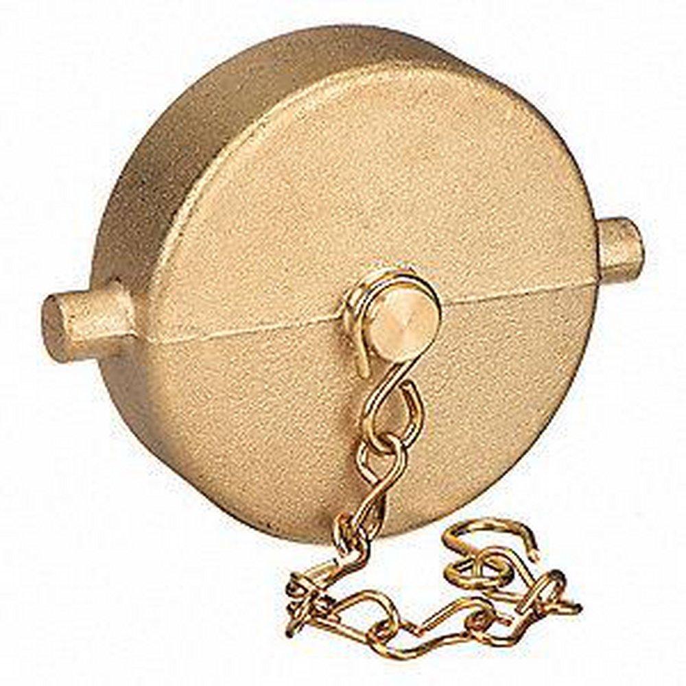 Legend Valve & Fitting FNST Fire Hose Cap with Chain 