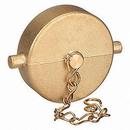 Legend Valve & Fitting FNST Fire Hose Cap with Chain 
