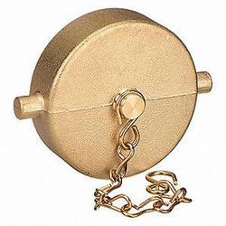 2-1/2 in. FNST Fire Hose Cap with Chain
