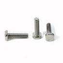5/8 x 10-1/2 in. 316 Stainless Steel Track Bolt