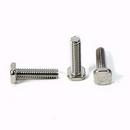 5/8 in. 316 Stainless Steel Track Bolt 