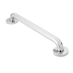 24 in. Grab Bar in Polished Stainless