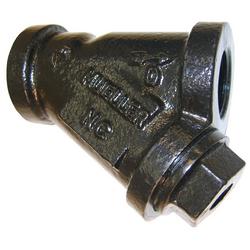 1-1/2 x 1-1/2 in. 250# Threaded Cast Iron Wye Strainer