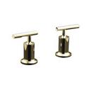 Wall Mount Tub Faucet Lever Handle Trim in Vibrant® Polished Nickel