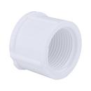 White PVC Schedule 40 FPT Cap 