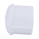 White PVC Schedule 40 FPT Cap 