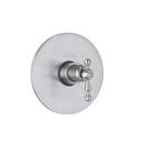 Single Lever Handle Thermostatic Trim in Polished Chrome